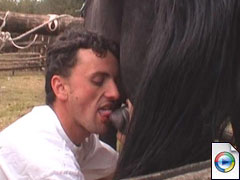 Man Licks Horse's Ass and Dick