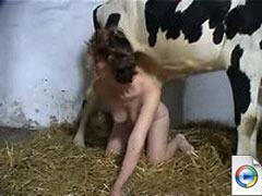 Sex with Cow - Farm Sex - Video