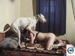 Anal Dogs Penetration - Private Video